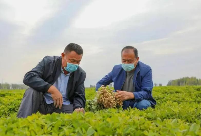 农民工资2万多一年吗,农民工资2300元