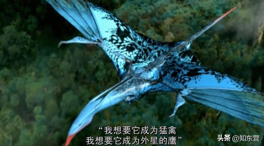 鸽了十几次，神作终于终于终于回来了