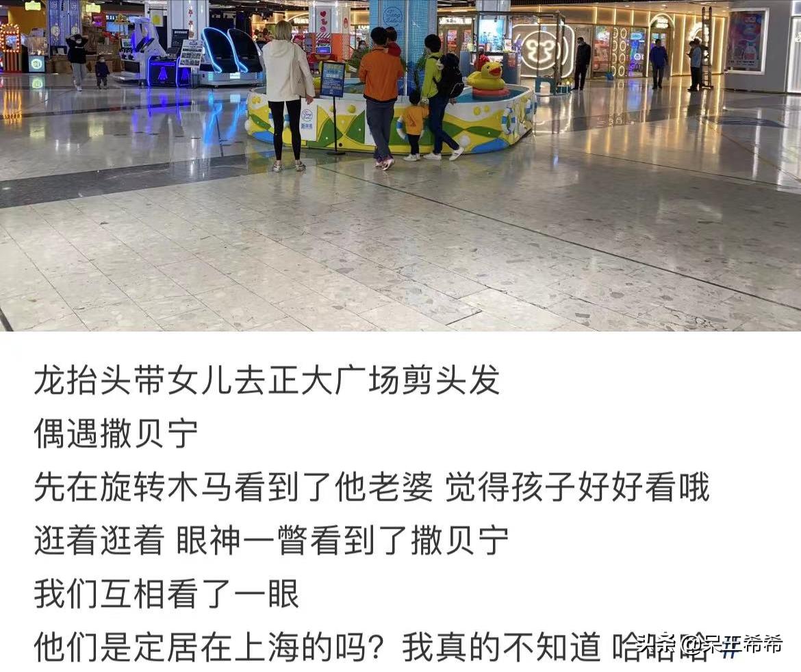 主持人撒贝宁合照,主持人撒贝宁在央视