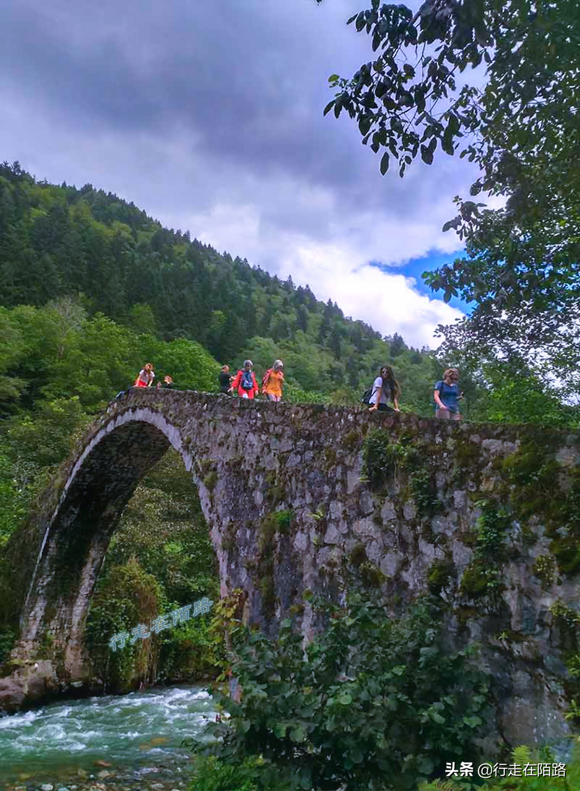 土耳其人茶文化,土耳其中文向导