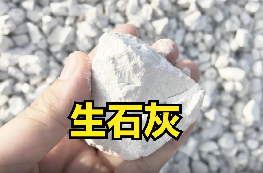 土壤生石灰放多了怎么办,什么时间土壤撒生石灰最合适