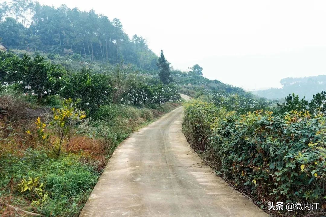 内江周边泡温泉的地方,内江好玩的地方森林公园
