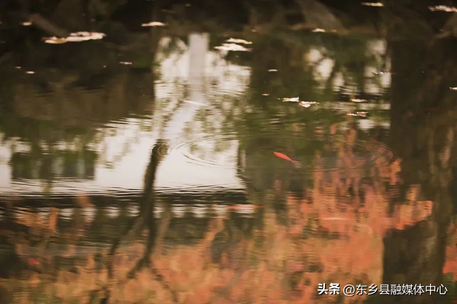 秋天丰收的雅称大全,秋天的雅称有哪几种