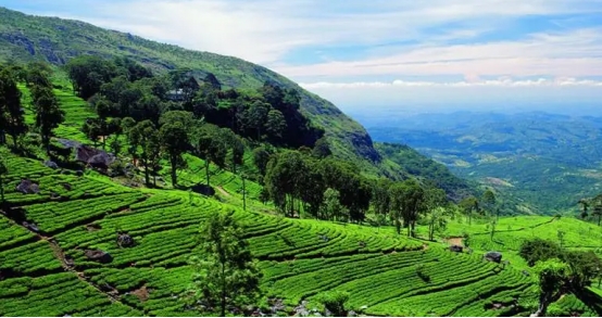 中国游客去斯里兰卡旅游可以办理哪些签证？怎样办理？