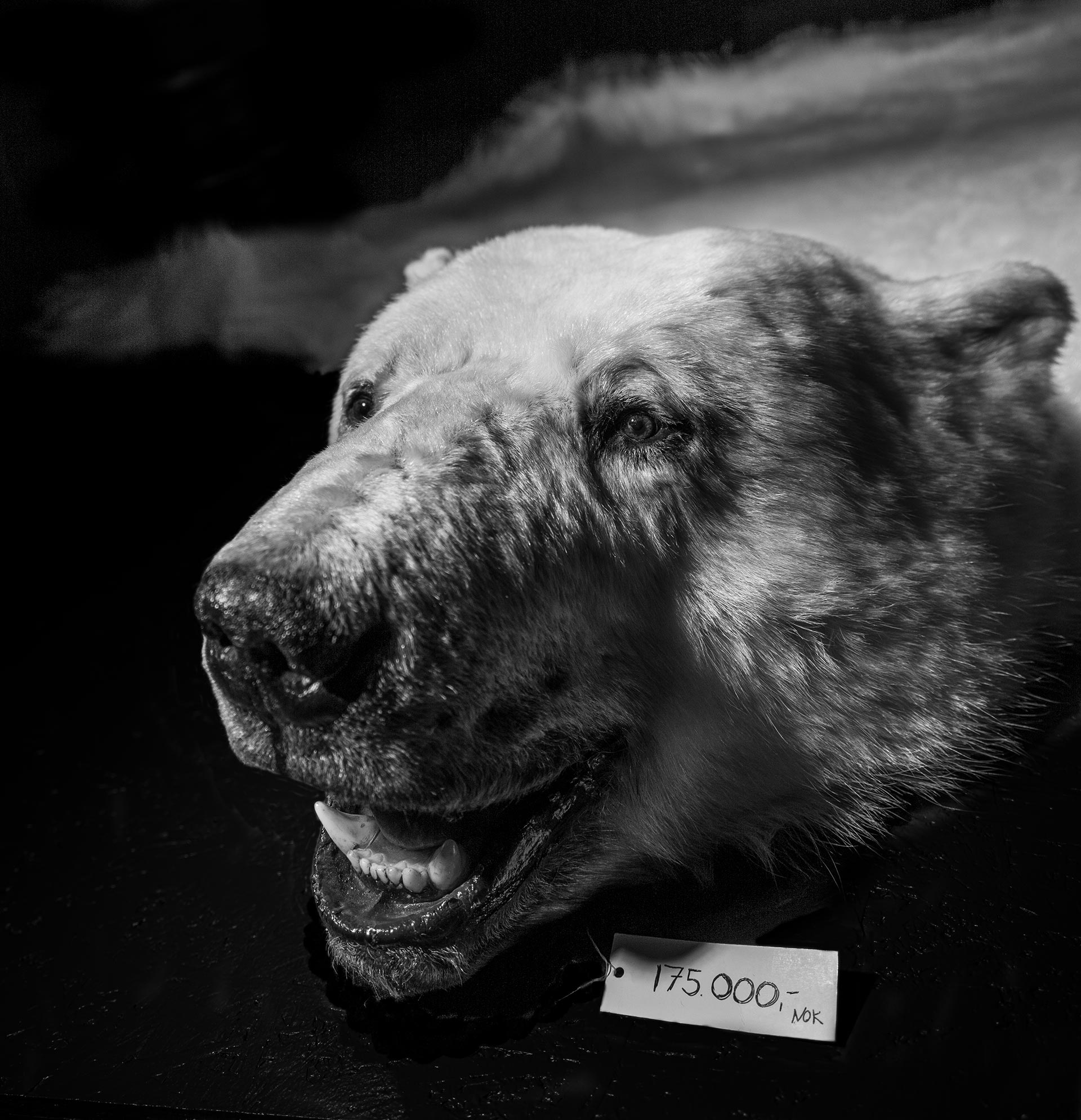 自然就是美,自然就是美歌曲