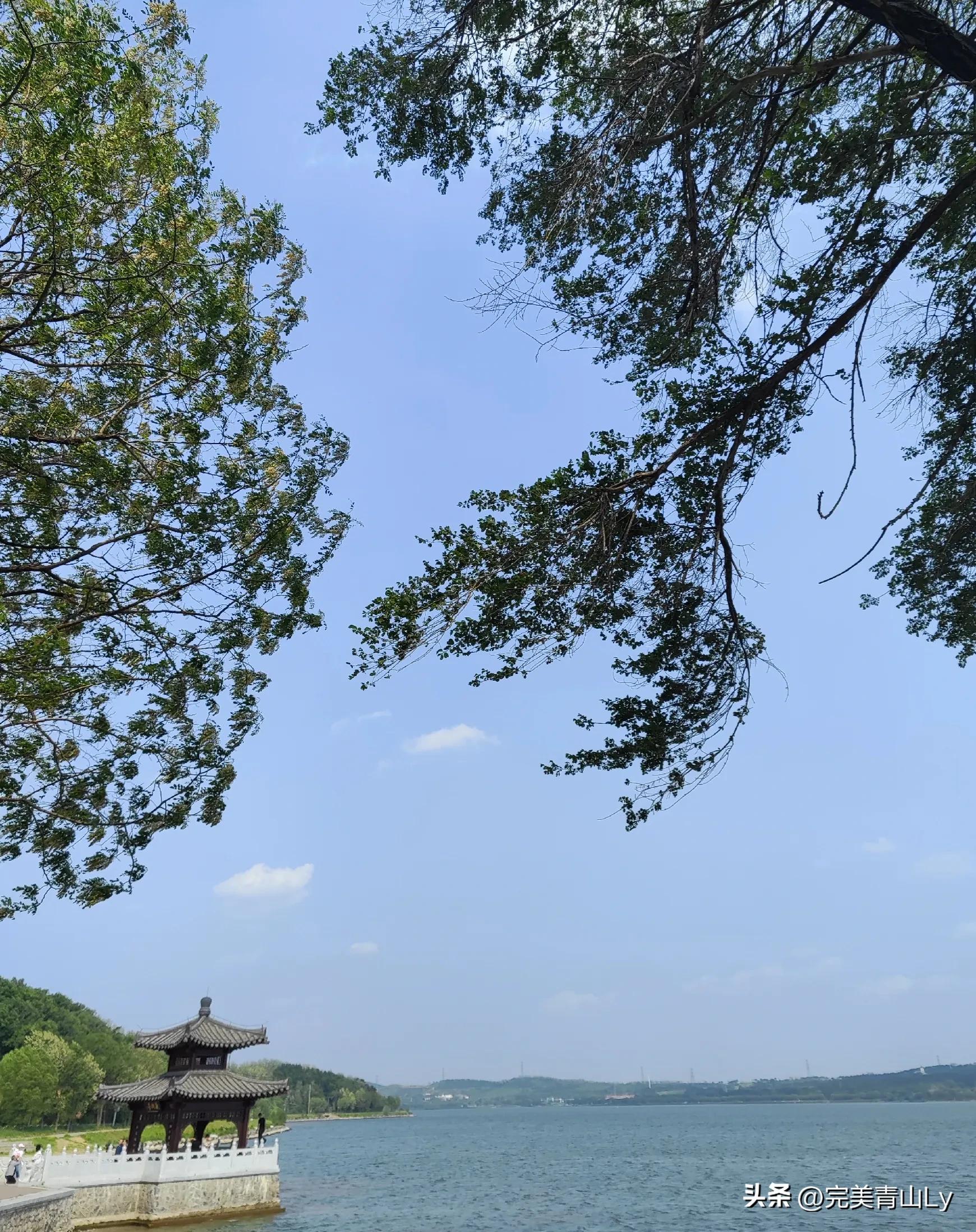 娌堥槼鑷┚瑗胯棌绾胯矾,娌堥槼鑷┚瑗垮弻鐗堢撼