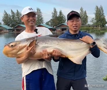 邓刚盘老板合集,邓刚盘老板的视频