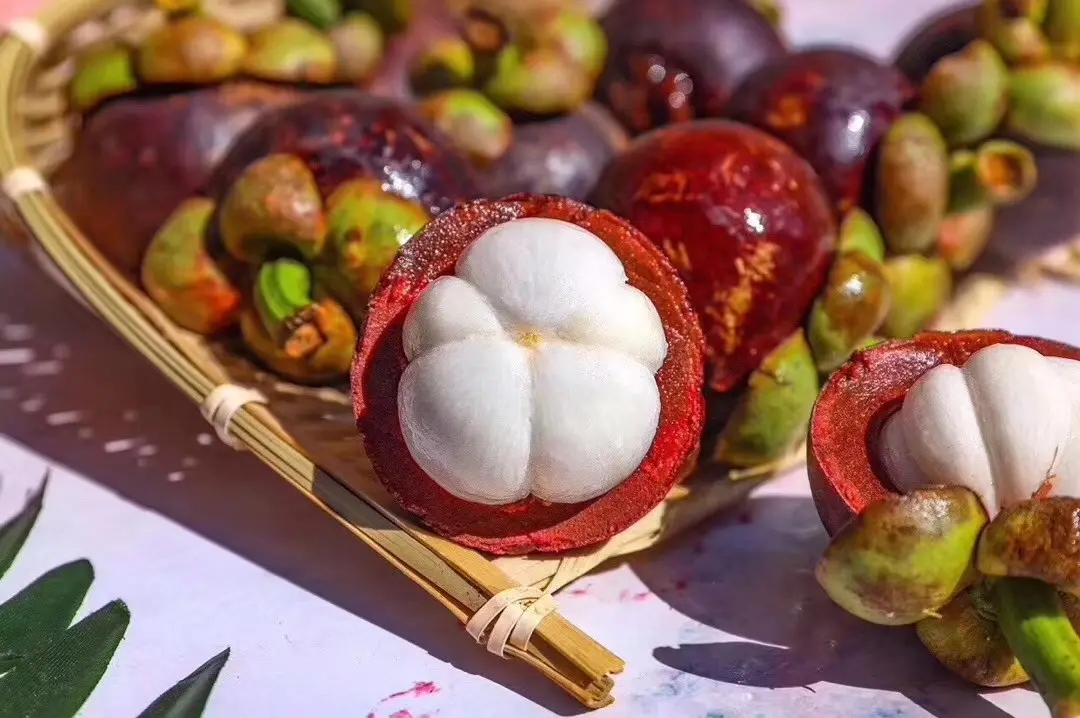 不会挑山竹记住这几点一挑一个准,挑选山竹小技巧新鲜又饱满