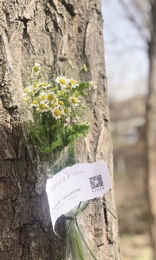 叮咚!送你一束春天的花花兰州街头一个随机赠花的善意举动让人心头暖暖的