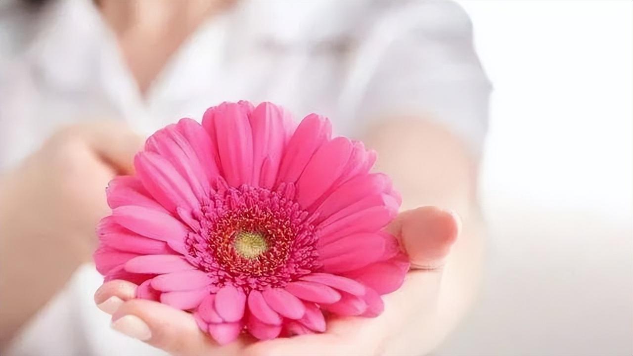 女性阴道生理科普知识大全简单,女性阴道生理科普知识大全2020