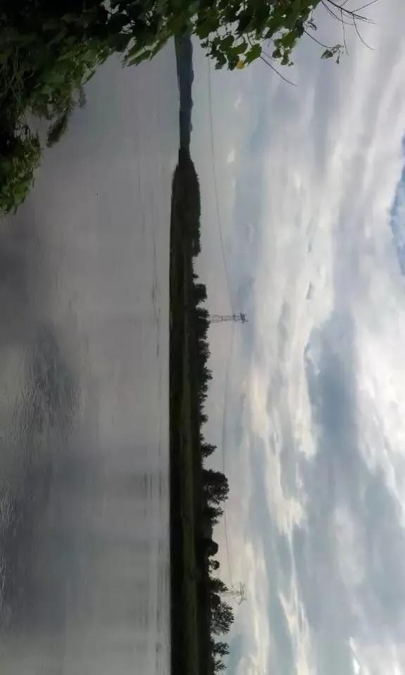 锦江河畔轮船,锦江轮船