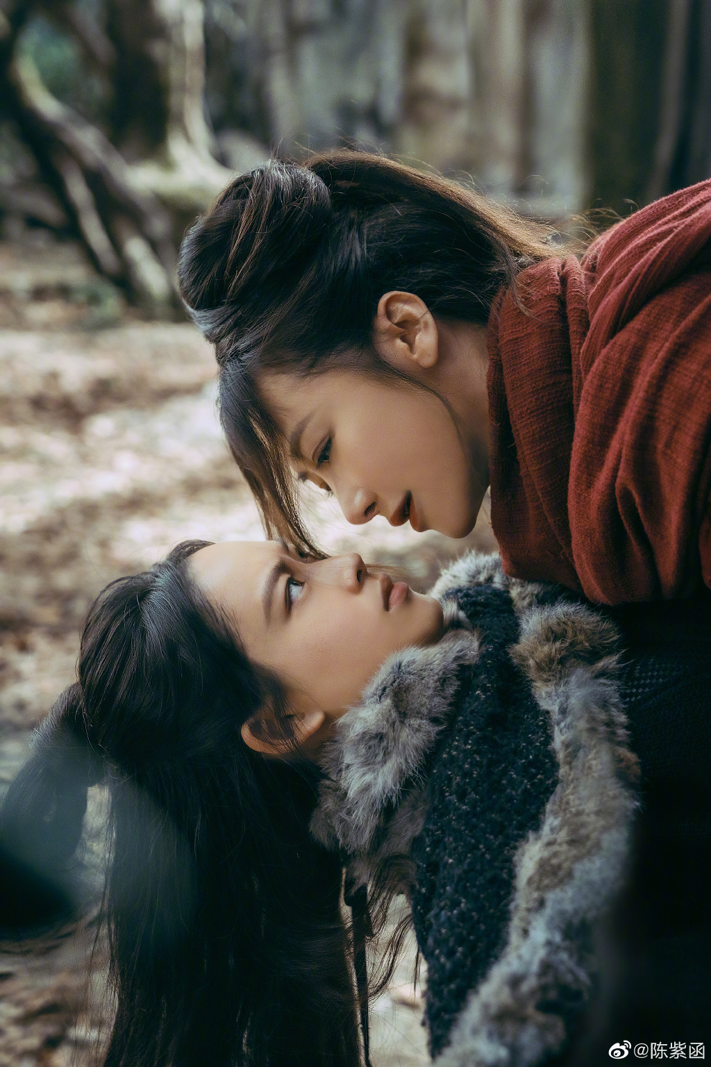 40部绝版武侠电影雪山飞狐,电视剧新雪山飞狐1999