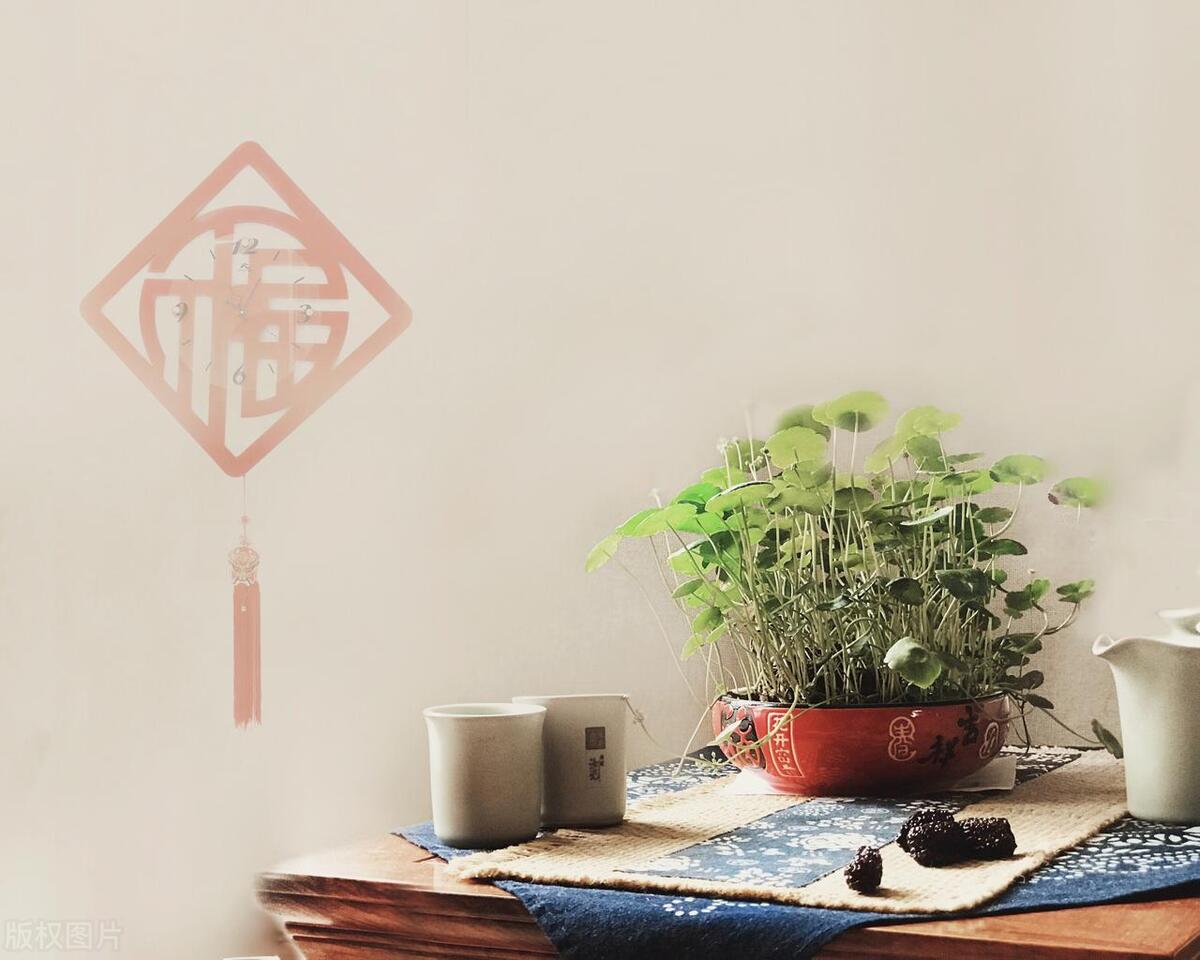 当你家有这3样旧东西,一定要清理掉,清理了,生活更自在