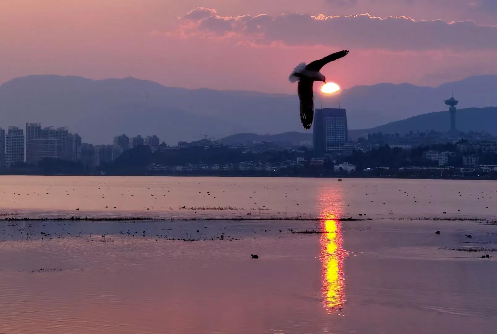 梦幻洱海白纱婚纱照,梦幻洱海