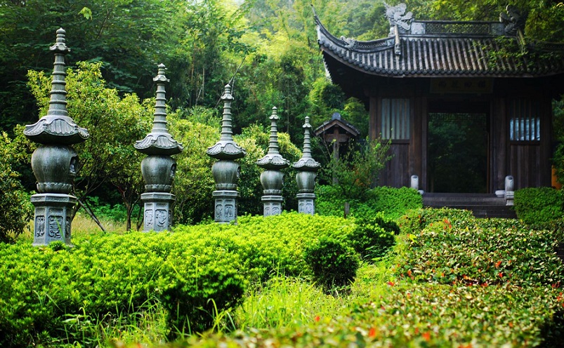 杭州旅游必去十大景点推荐一下,杭州看花好去处杭州网红景点