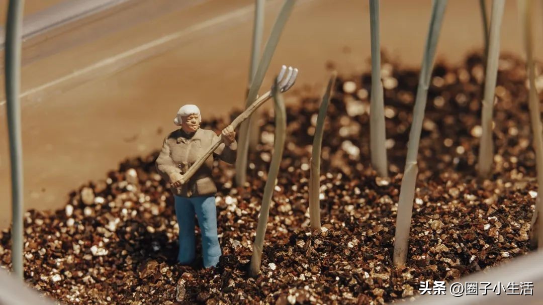 肯高增距镜质量咋样,肯高近摄接环