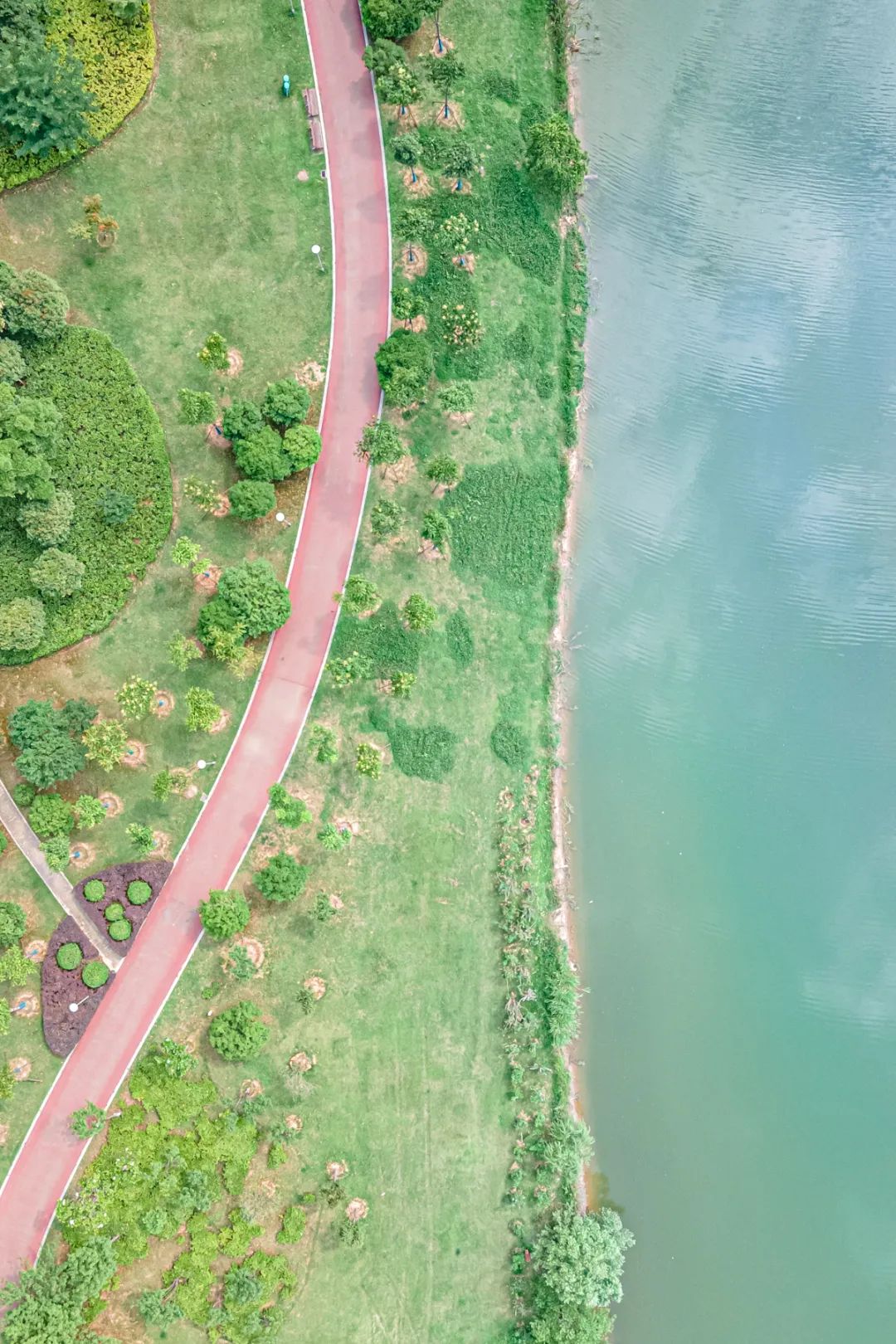 最美绿道骑行攻略,淘金山骑行绿道和东湖骑行绿道