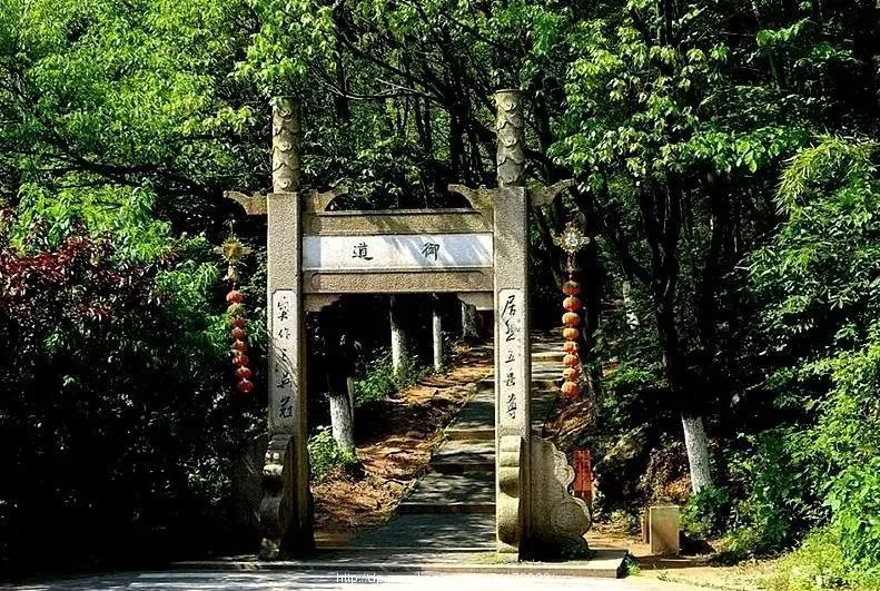 苏州旅游团七日游,苏州旅游团1日游