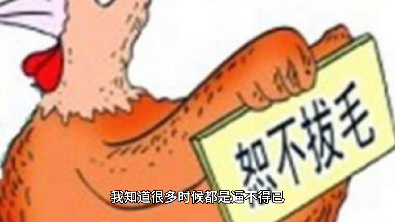 为什么不敢生女儿,为啥不敢生女儿