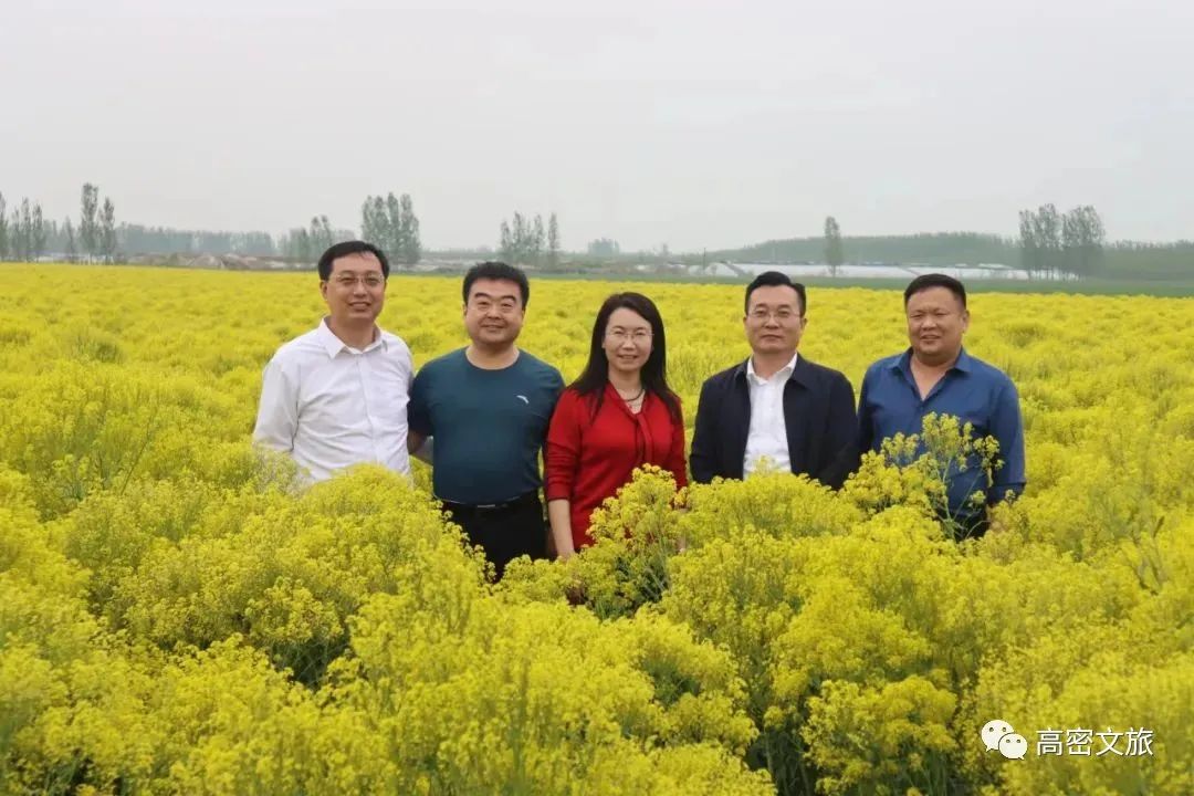 潍坊创建东亚文化之都奎文区,潍坊将举办东亚文化之都系列活动