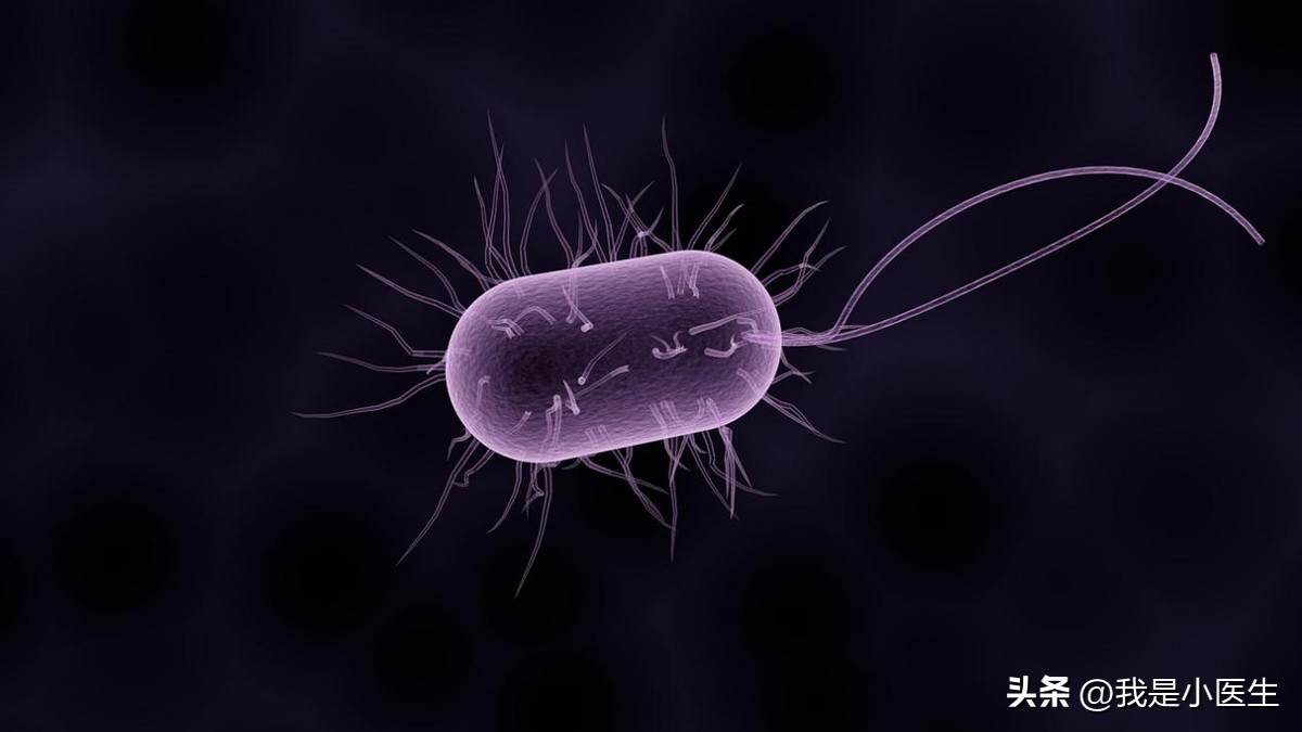 淋病和非淋病的症状,得淋病对生孩子有影响吗