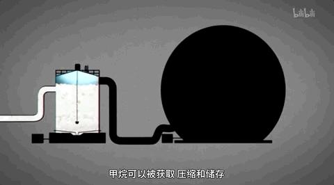 满分推荐！这部颠覆三观的良心之作，绝不该只有300人看过