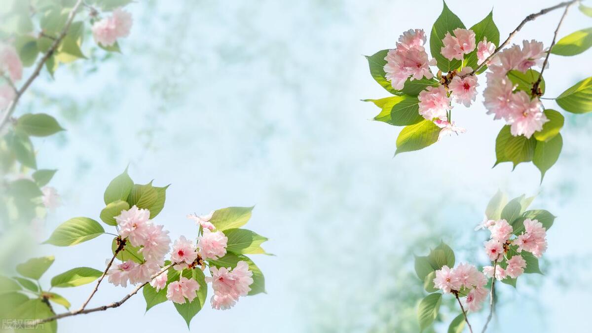 反诈电话提醒是真是假,电话智能反诈功能