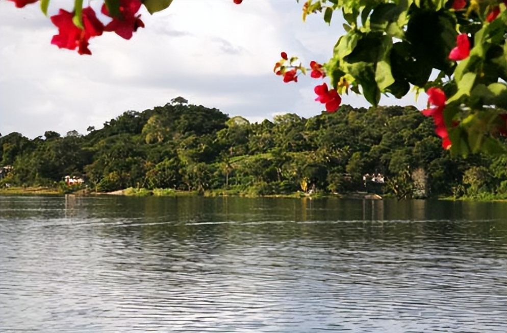 玛雅文明有哪些具体的事例,玛雅文明的真相有多可怕