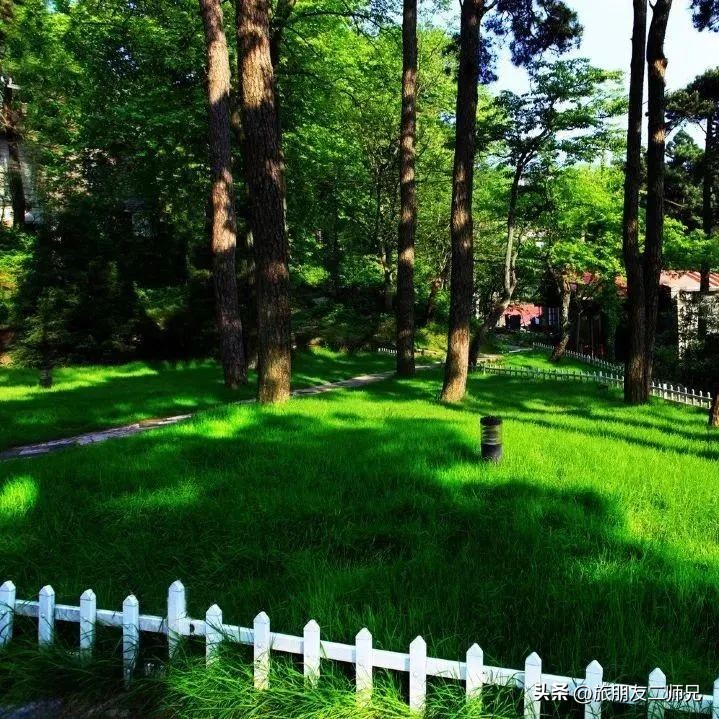 开封到三清山庐山篁岭四日游,江西出发旅游黄山三清山庐山