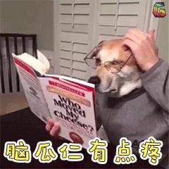 从哪个网上可以查学历,如何在网上查自己的学历