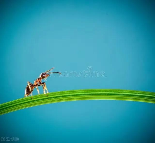 我们的文明成因解读,我们的文明为什么那么好