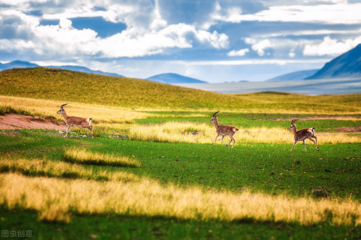 青海游玩必打卡,青海省必打卡景点