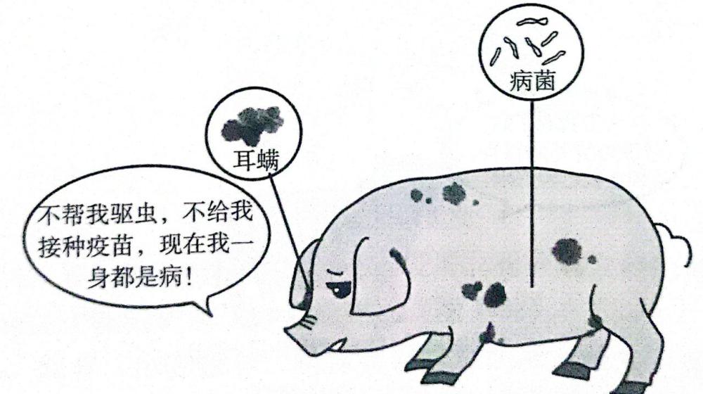 动物传染病主要内容,动物传染病介绍