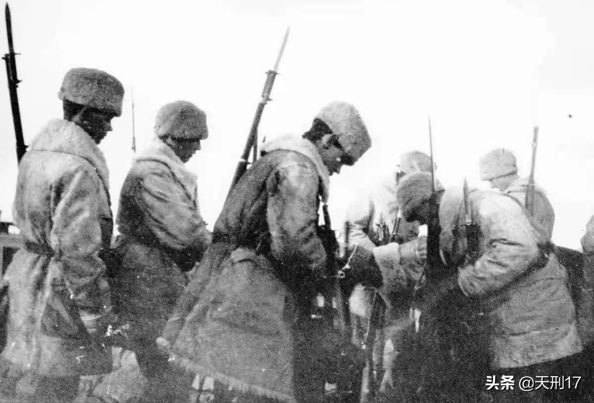 清军毛瑟,清政府引进步枪