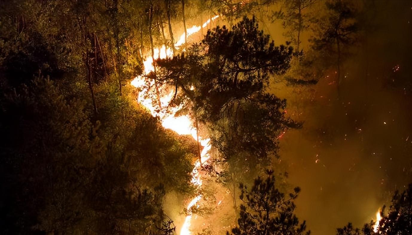 重庆龙麻子逆行者,重庆救火英雄龙麻子评论