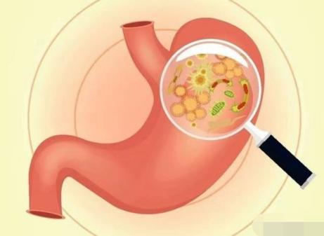 一般什么会引起呕吐的情况,宝宝感冒发烧出现呕吐千万要重视