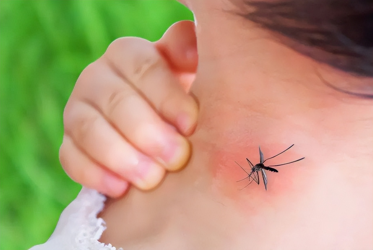 房间蚊子太多怎么驱赶蚊子,夏天蚊子多怎么防蚊子进家里