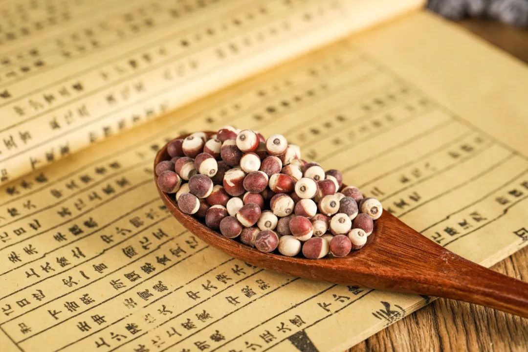 固肾益髓的中药,补肾阳又固肾的中药材