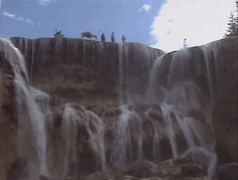 再见白龙马,无相白龙马