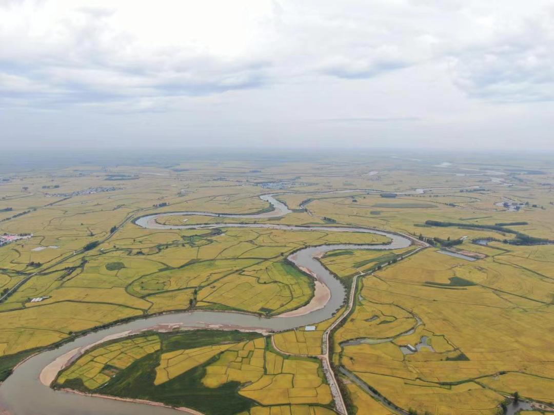 五常稻花香大米怎样辨别真假呢,五常大米国标1354和19266的区别