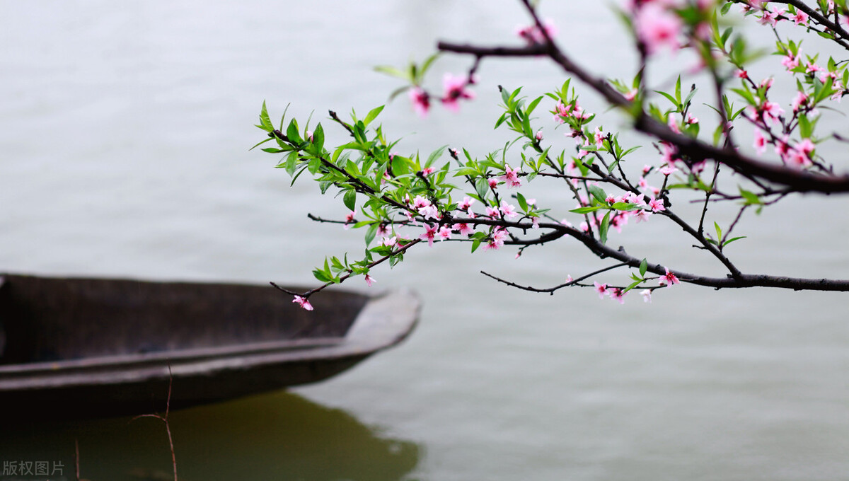 宋词里的春天是美到骨子里的春天,唐诗宋词里的春天朗诵稿4-6分钟