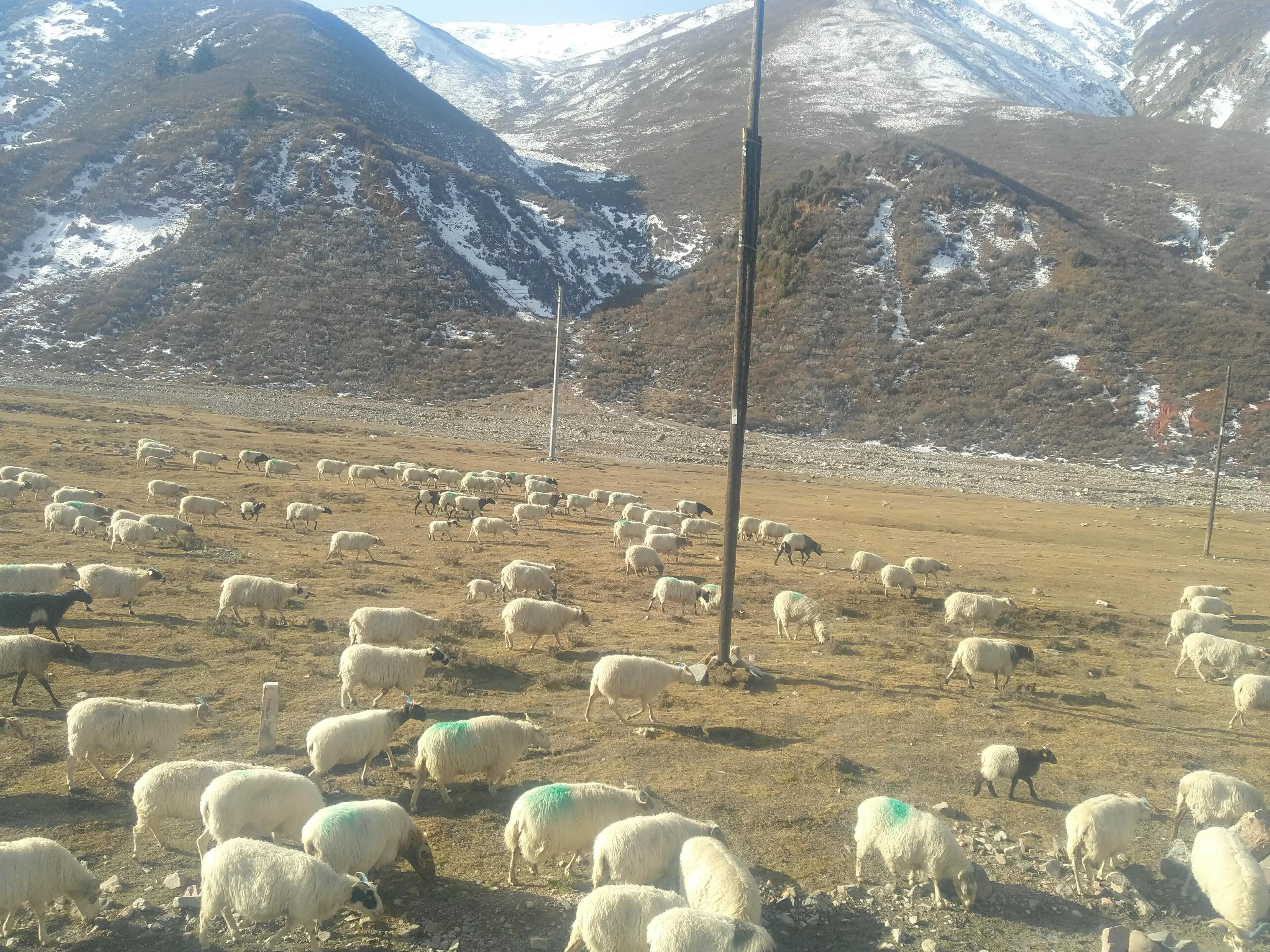 从甘肃翻越祁连山到青海,从肃北到青海沿途风景