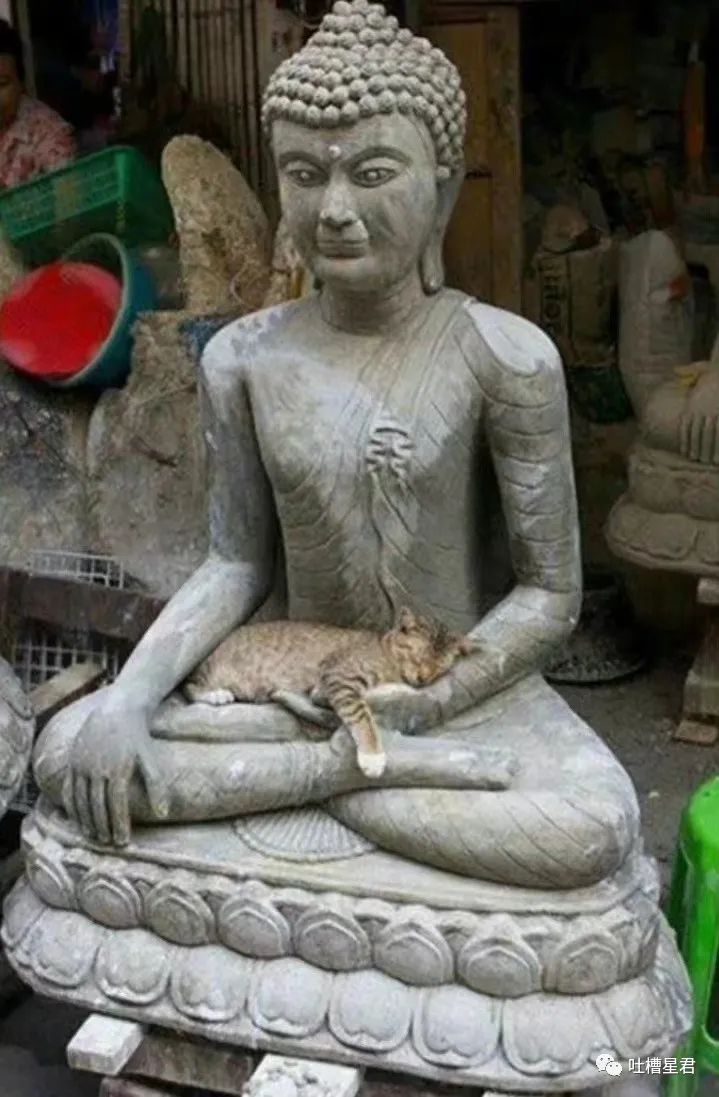 花1千买球拍值得吗,花1千买球拍