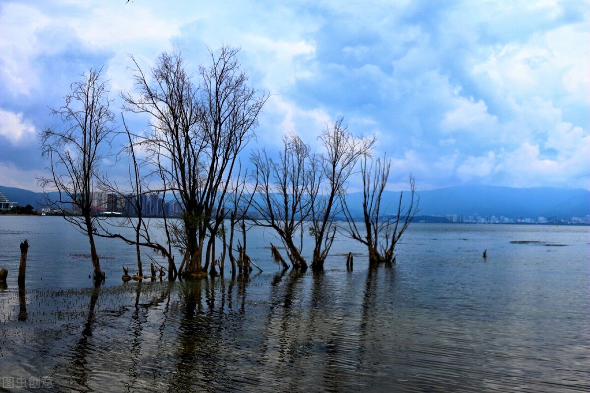 叶茂中是得的什么癌,叶茂中什么癌症