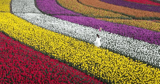 春风吹暖就业季绽放民生幸福花,春暖花开经济