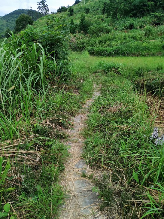 郴乐古道之水头江宜乐古道--广东省乐昌市庆云镇