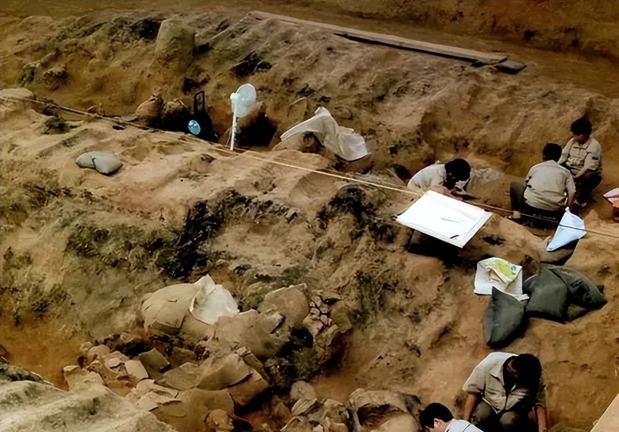 秦兵马俑考古者,考古学家探索秦始皇陵