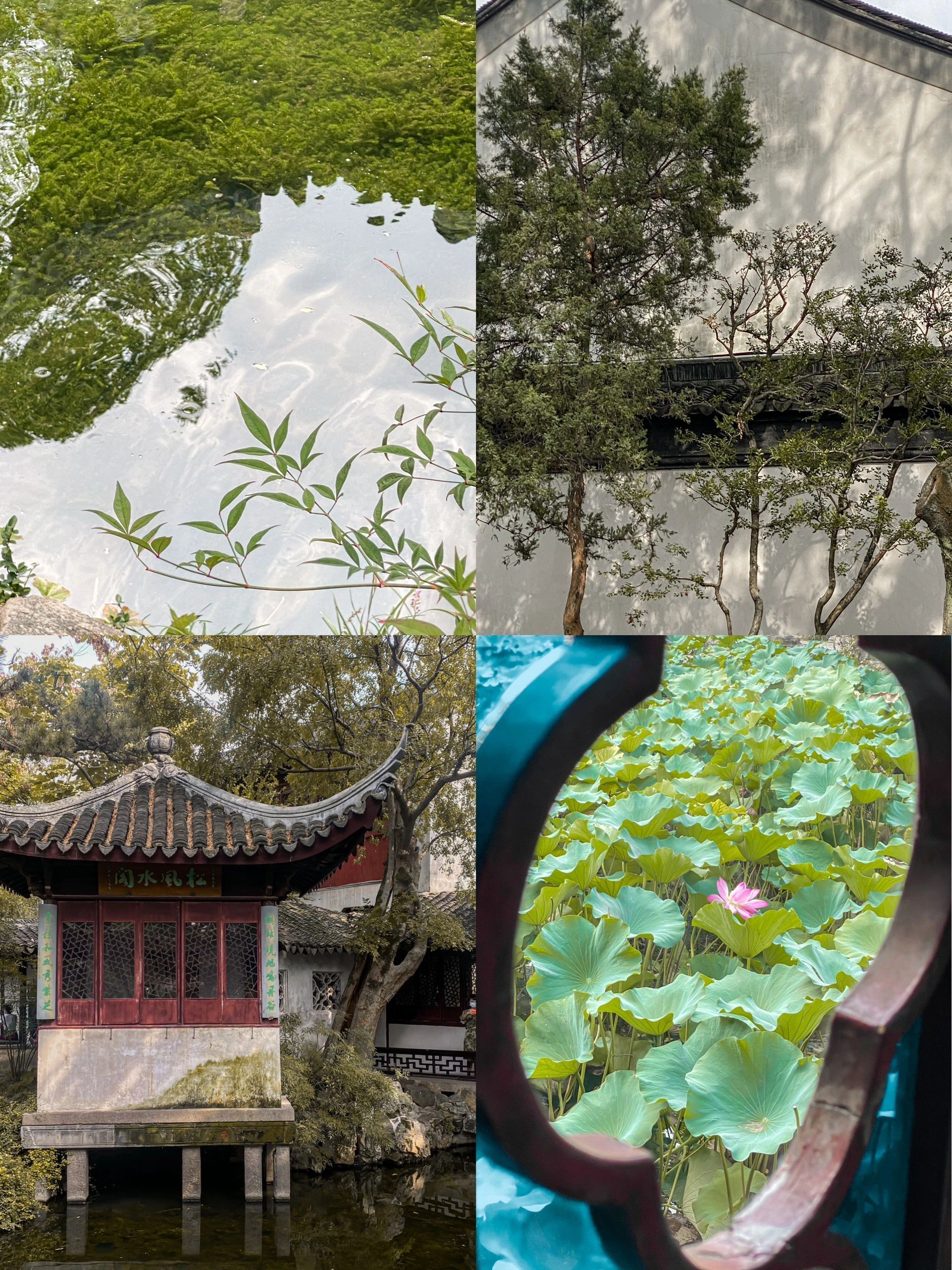 苏州梦华录,苏州山塘街梦华录