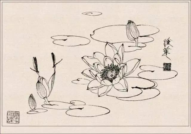 工笔草虫白描王道中,写意花鸟画草虫绘画过程分享