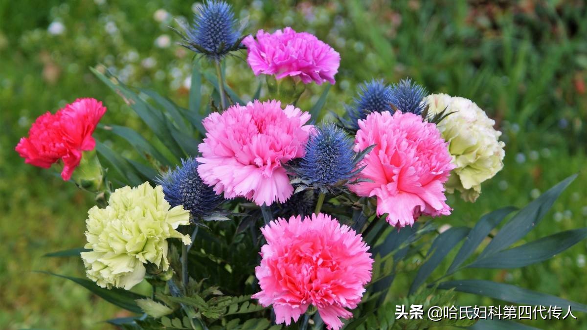 月经量少怎么补救月经紊乱,闭经月经量少怎么办